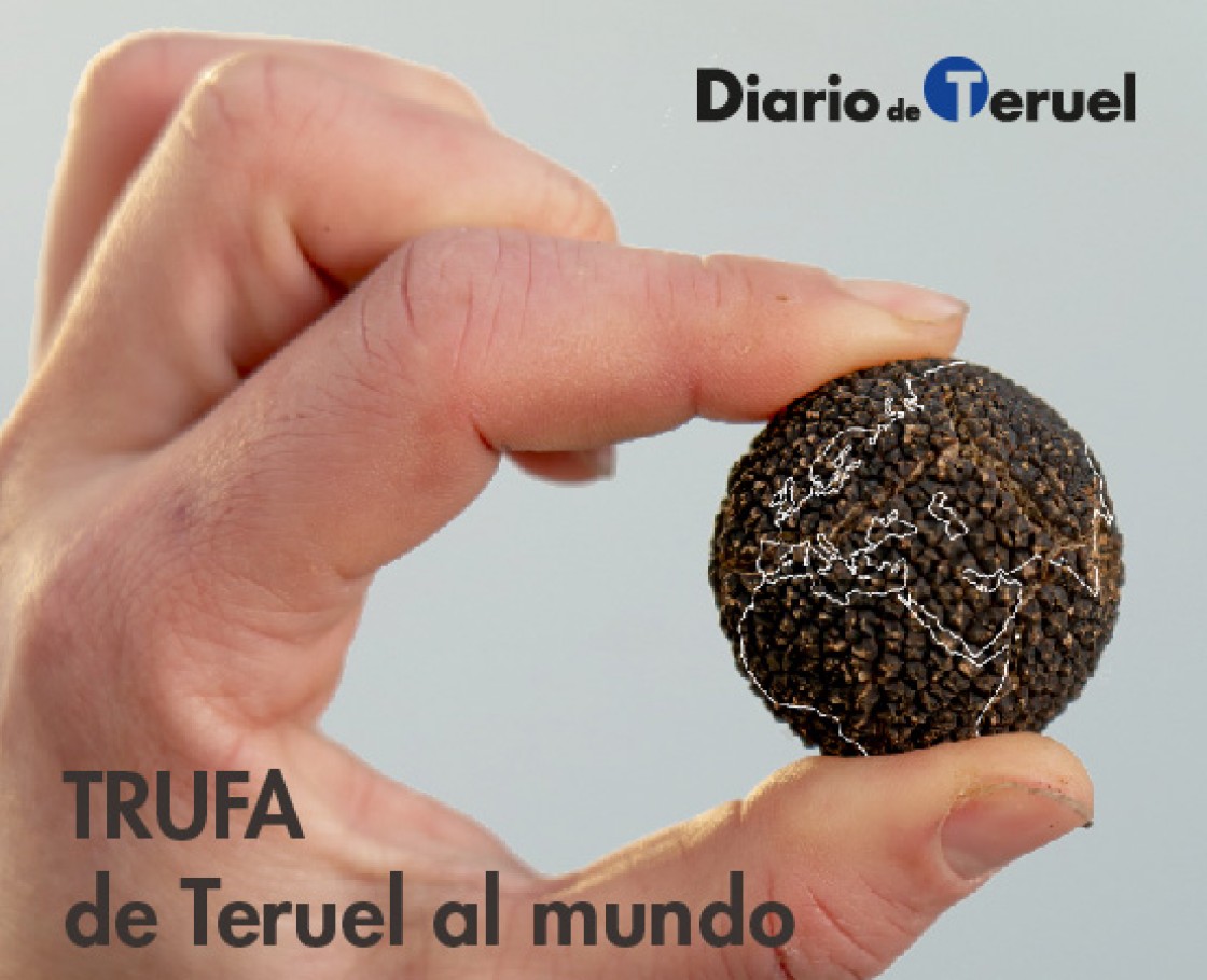 Trufa, de Teruel al  mundo