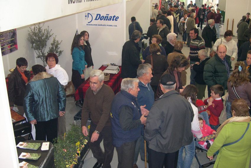 La Feria de la Trufa de Sarrión llega a las 20 ediciones después de haber contribuido al lanzamiento del sector