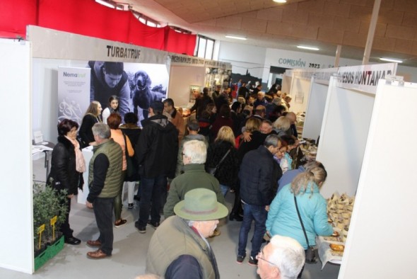 Sarrión inaugura la edición más ansiada de Fitruf con un precio récord de la trufa de 1.200 euros el kilo por su escasez