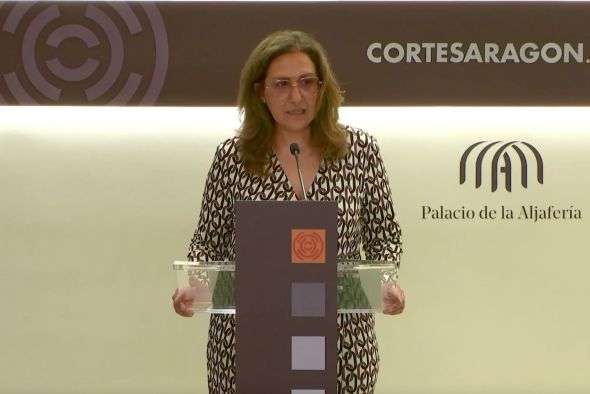 Teruel Existe pide elevar hasta un 40 % las cuotas del impuesto a las renovables