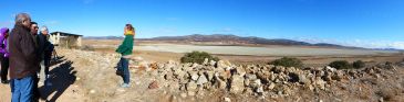 Los graves efectos de la sequía: Poco menos de 500 grullas han pasado por Gallocanta frente a las más de 12.600 registradas el año pasado