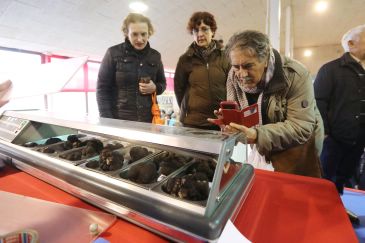 El kilo de trufa en la feria de Sarrión alcanza los 1.100 euros, el precio máximo histórico durante el certamen