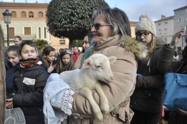 Decenas de animales reciben la bendición de San Antón en Calamocha