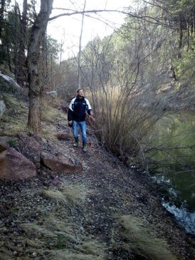 Los pinares del Rodeno y de Orihuela serán escenarios para terapias forestales