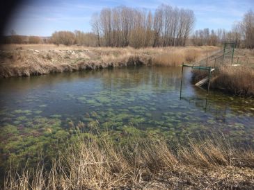 El debate con los argumentos a favor y en contra de recuperar la laguna del Cañizar sigue en la calle