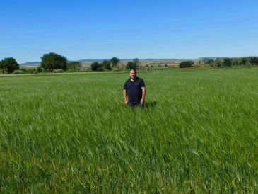 UAGA prevé una buena cosecha de cereal de invierno en Teruel