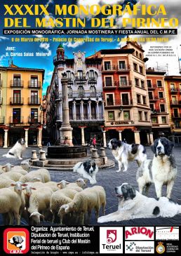 Un centenar de perros participan este fin de semana en la XXXIX Exposición Monográfica del Mastín del Pirineo en Teruel