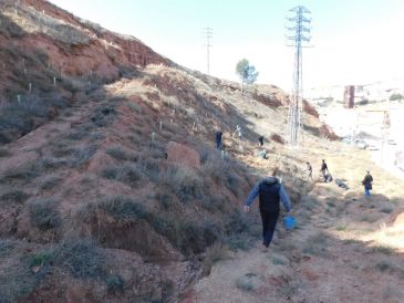 Internos de la Prisión de Teruel trabajan en la plantación y mejora de Las Arcillas