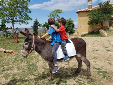 Una excursión para disfrutar de la naturaleza y el patrimonio en Villarroya de los Pinares