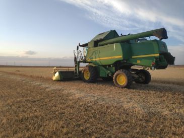 UAGA anuncia que los agricultores de cereal de Teruel tendrán una buena cosecha tras varias campañas 