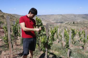 La viticultura extrema de la alta montaña se reintroduce en la Sierra de Albarracín