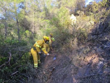 Teruel, la provincia aragonesa con menos hectáreas quemadas  por incendios forestales en 2019