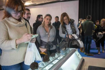 La Feria de la Trufa de Sarrión arranca con 42 expositores especializados