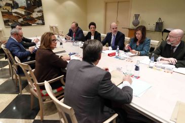 La Comisión de Seguimiento aprueba los 38 proyectos del Fite 2019, entre los que no está la piscina de la capital