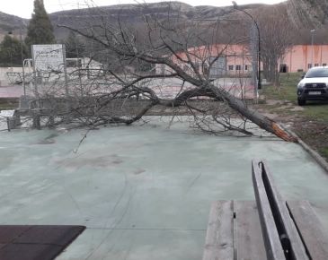 Aliaga, con cortes de luz y caída de árboles, centra los efectos del temporal en la provincia