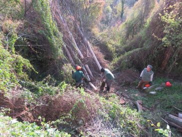 El tercer taller de empleo forestal de Agujama embellece los municipios sur de Javalambre