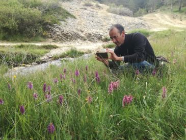 Un estudio en la Sierra de Albarracín cataloga hasta 57 especies de orquídeas