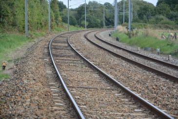 Soro insiste en la recuperación de los servicios de transporte que presta Renfe en Aragón