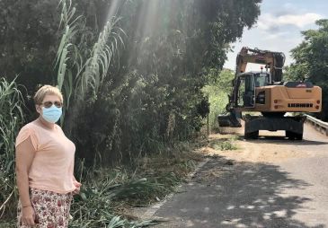 La Diputación limpia de cañas las cunetas que dificultan la circulación por el camino la Vía Val de Zafán en Alcañiz