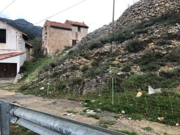 Suministran fosfato férrico para eliminar al caracol alóctono localizado en Linares