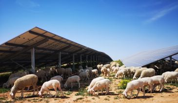 Enel proyecta un parque eólico de 105 MW en cuatro municipios del Bajo Aragón