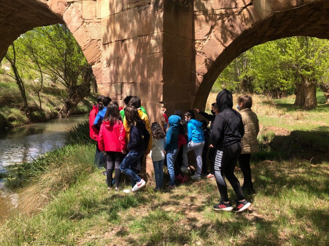 El Puente de Galve se convierte en un aula de geografía y botánica