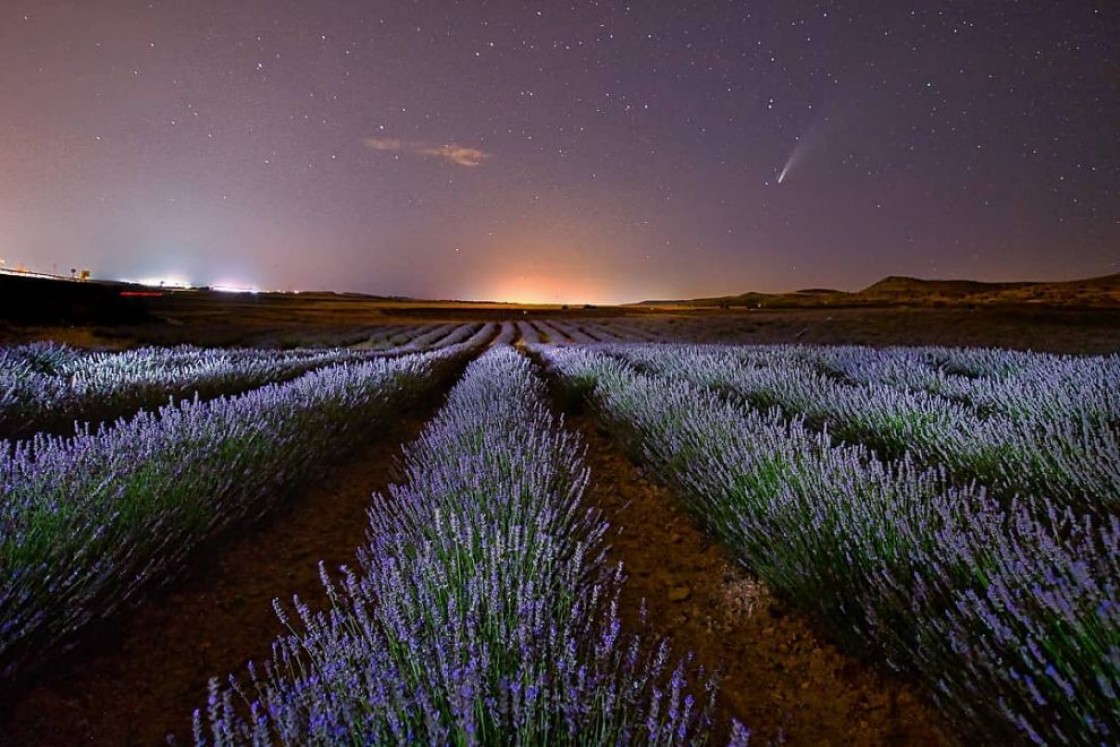 Cuarta edición del concurso de fotografía #LavandaTeruel