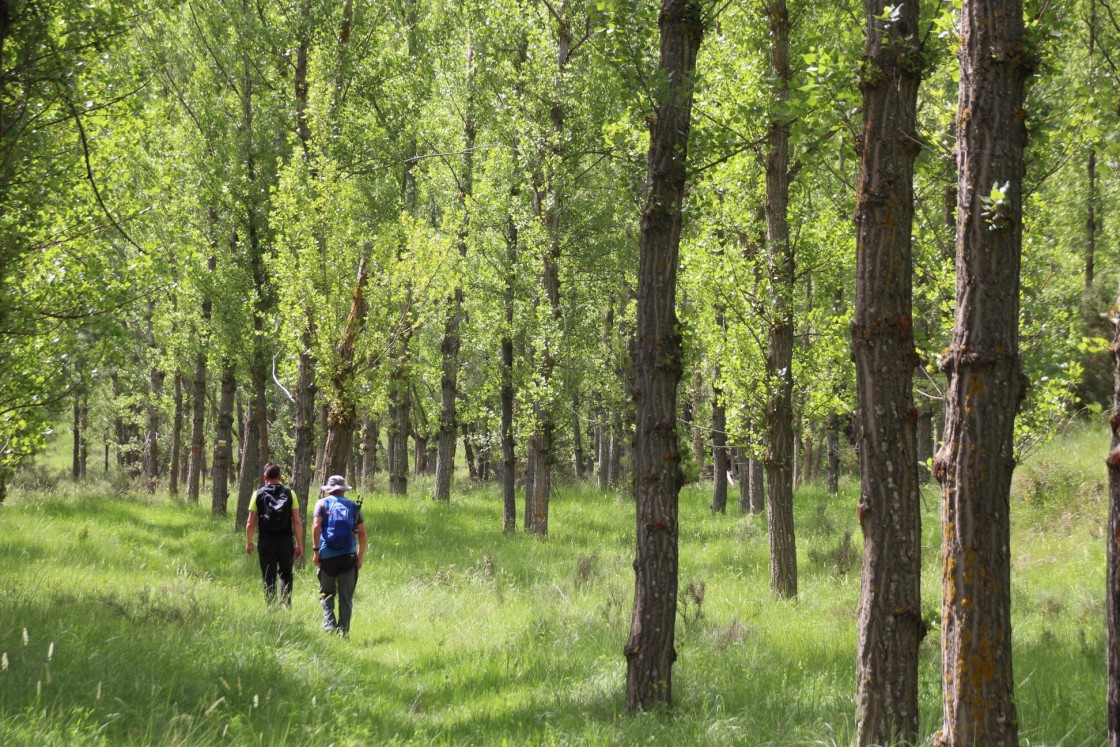 La comarca Sierra de Arcos recupera el camino natural de la romería al Monasterio del Olivar