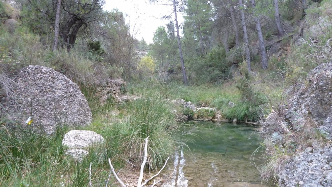 Los nitratos contaminan ríos y acuíferos del Bajo Aragón, Matarraña, Jiloca, Cuencas Mineras y Alto Maestrazgo, revela la CHE