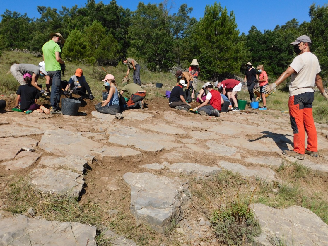 Aflora la inmensa riqueza  del yacimiento de icnitas de dinosaurio de El Pozo en El Castellar