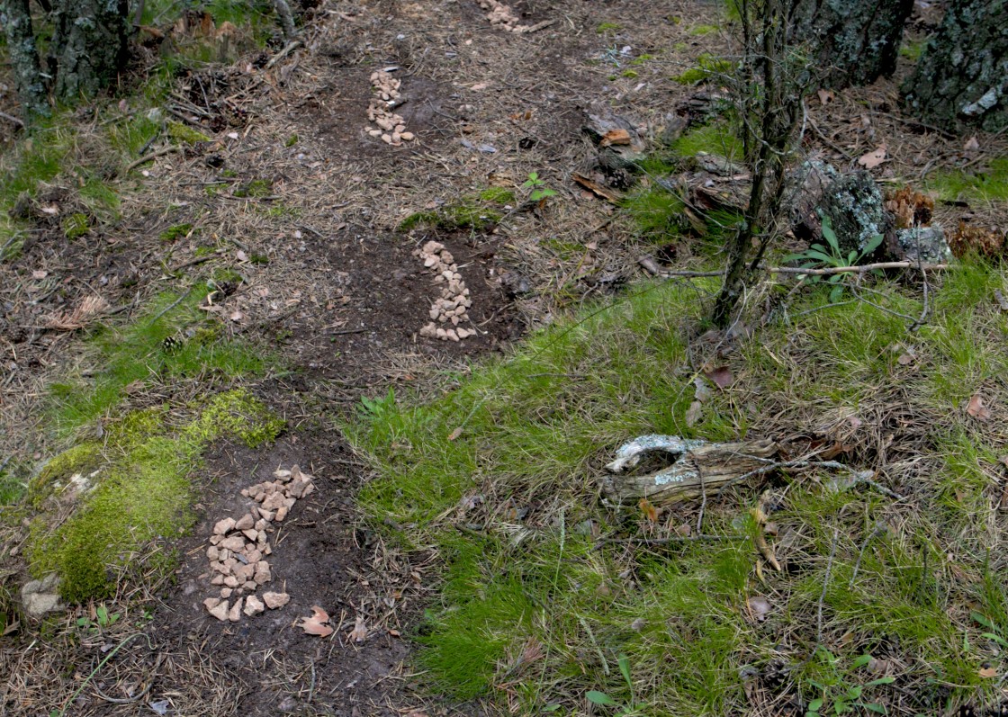 Arte y naturaleza se dan la mano en una nueva edición del Festival Landares