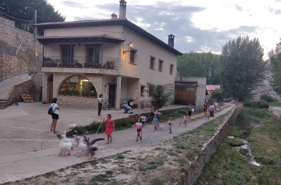 El encierro de las ocas que limpian el río  de Villarroya, atractivo turístico del verano