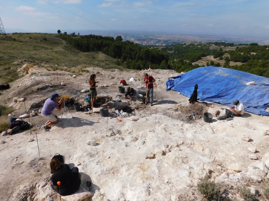 Especialistas de la Fundación Dinópolis y del CSIC consiguen aflorar más de 400 restos fósiles en el yacimiento La Gloria 4