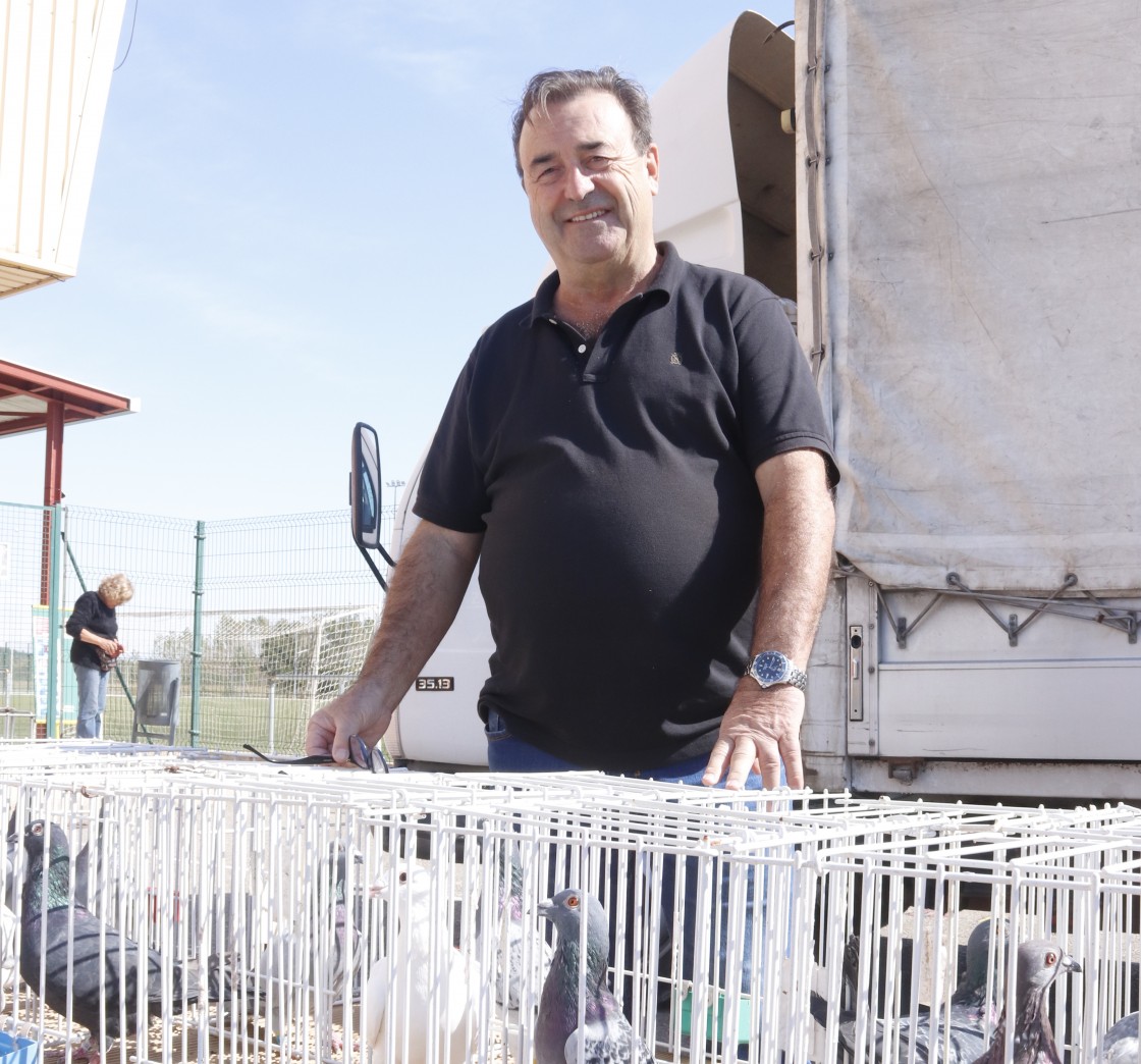 Jaime Ameller, presidente de la Federación Aragonesa de Colombofilia: “Entrenar animales tan portentosos como las palomas da muchas satisfacciones”