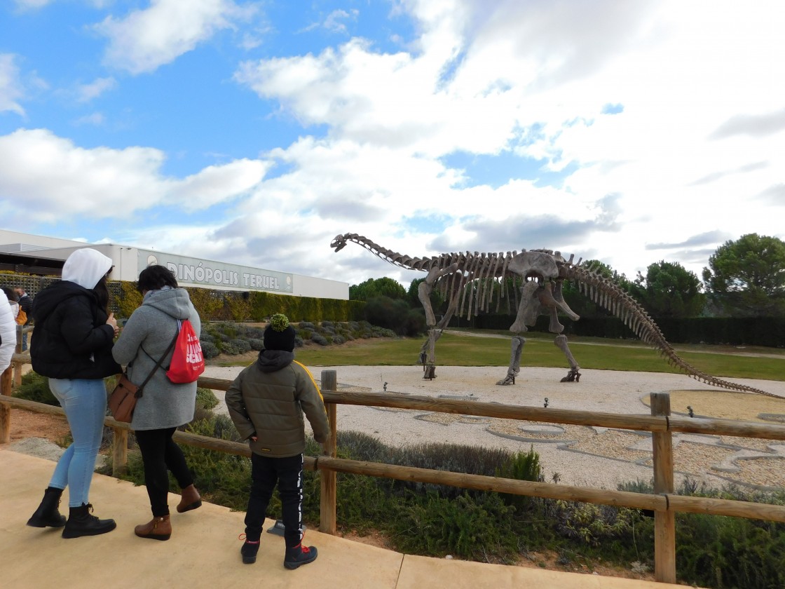 El gigante de Riodeva que surgió del frío y que ha cambiado la clasificación mundial de los dinosaurios