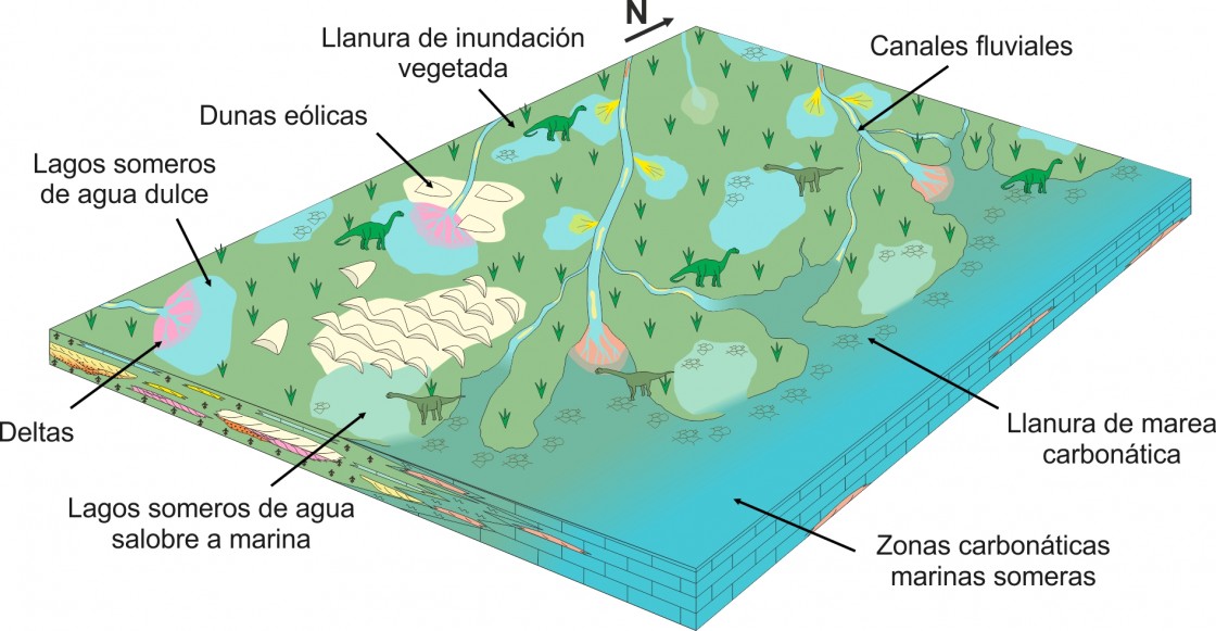 Los grandes dinosaurios de Teruel y Valencia vivieron en climas con lluvias de tipo monzónico
