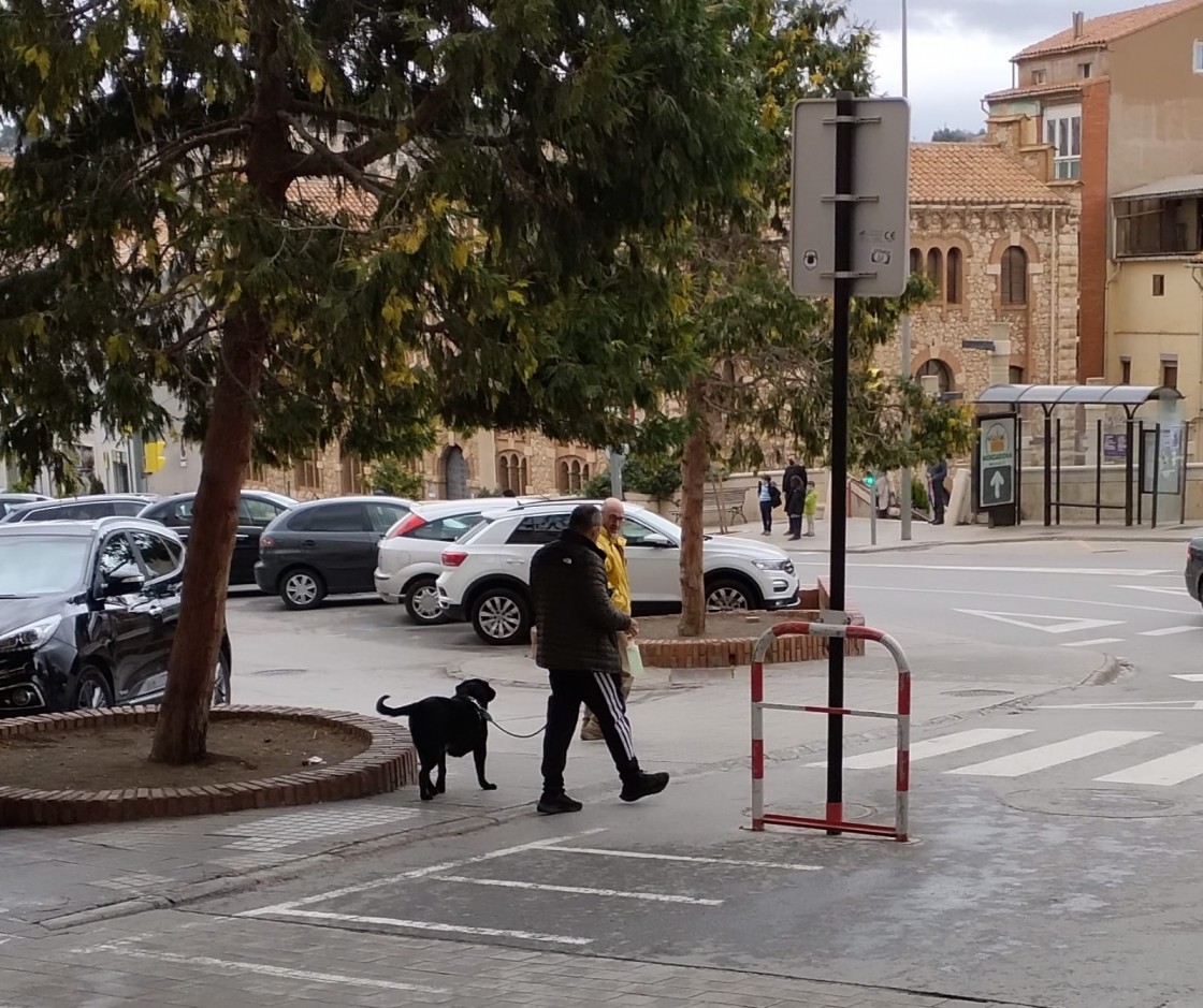 Teruel contará con una ordenanza municipal propia para regular la convivencia con los animales de compañía