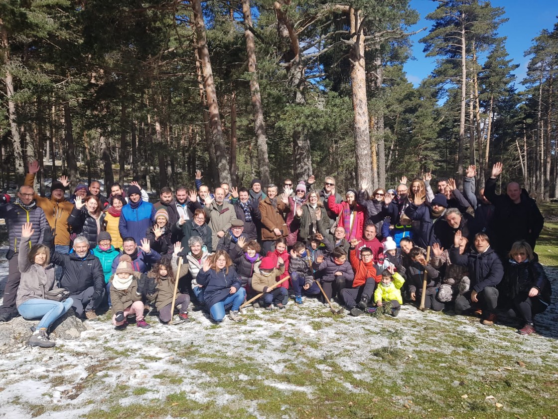 Día Internacional de los Bosques: la Majada de las Vacas de Orihuela se cubre de pinos, fresnos, serbales y acebos