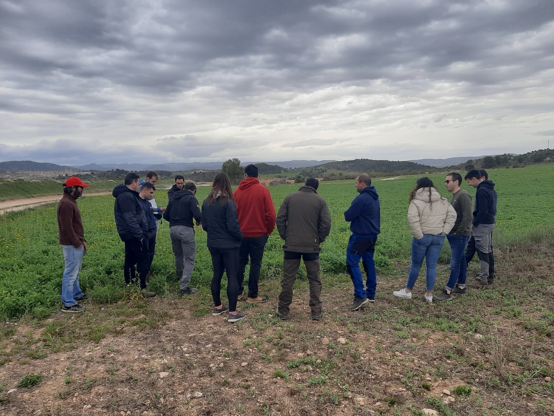 Agracon estrena web para difundir la agricultura de conservación