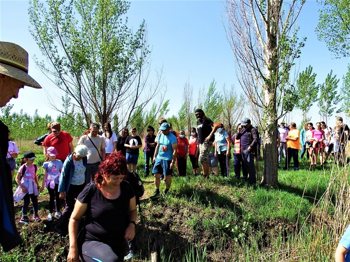 Alrededor de 60 personas participan en una ruta guiada para conocer la fauna y flora de la Laguna del Cañizar