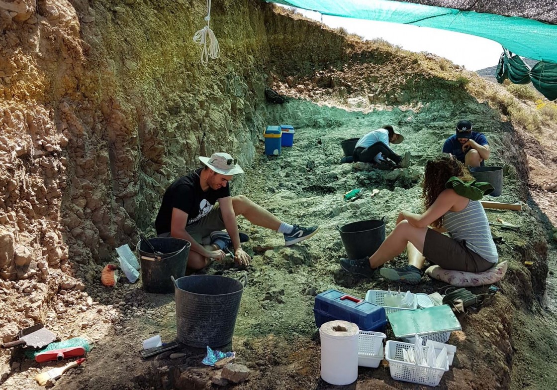 Un equipo de paleontólogos busca fósiles de 'dientes de sable' en Teruel