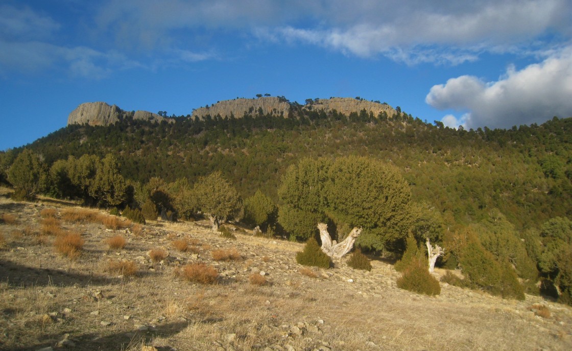 Mora de Rubielos señaliza una ruta de 8 kilómetros por espacios naturales de interés turístico