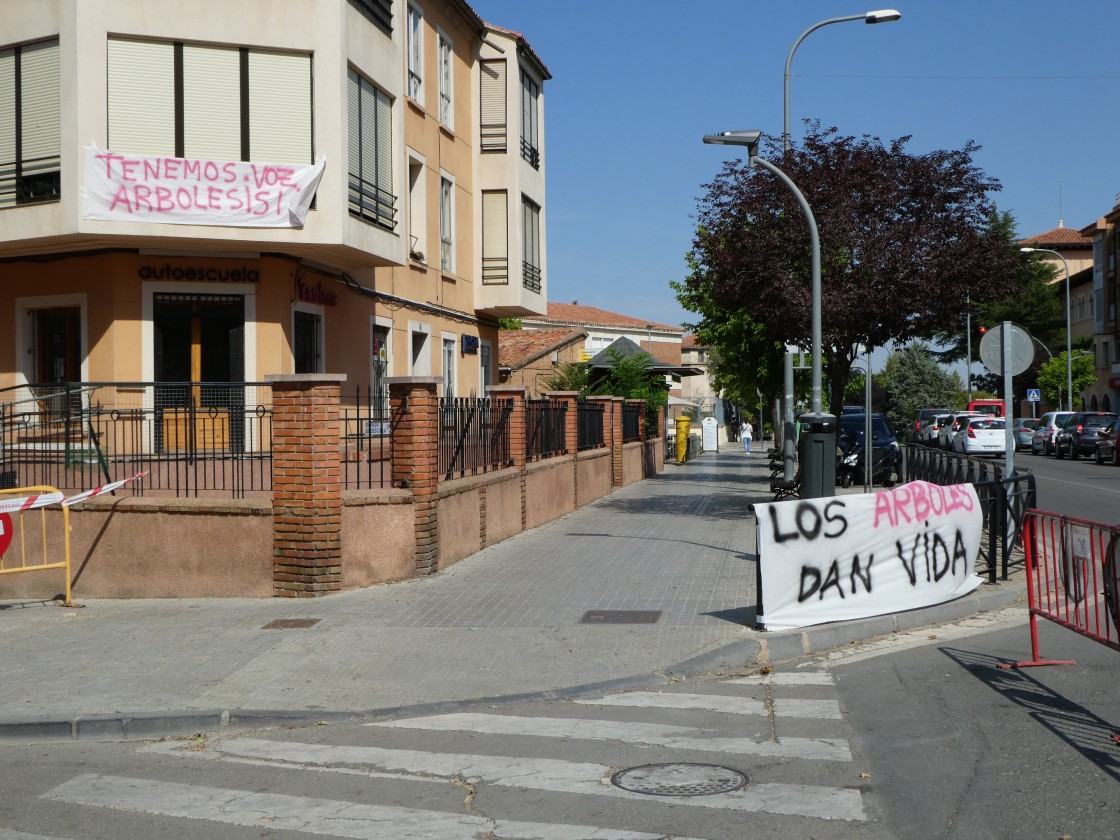 Vecinos de la calle San Vicente de Paúl de Teruel plasman en pancartas su rechazo a la tala de 36 plataneros