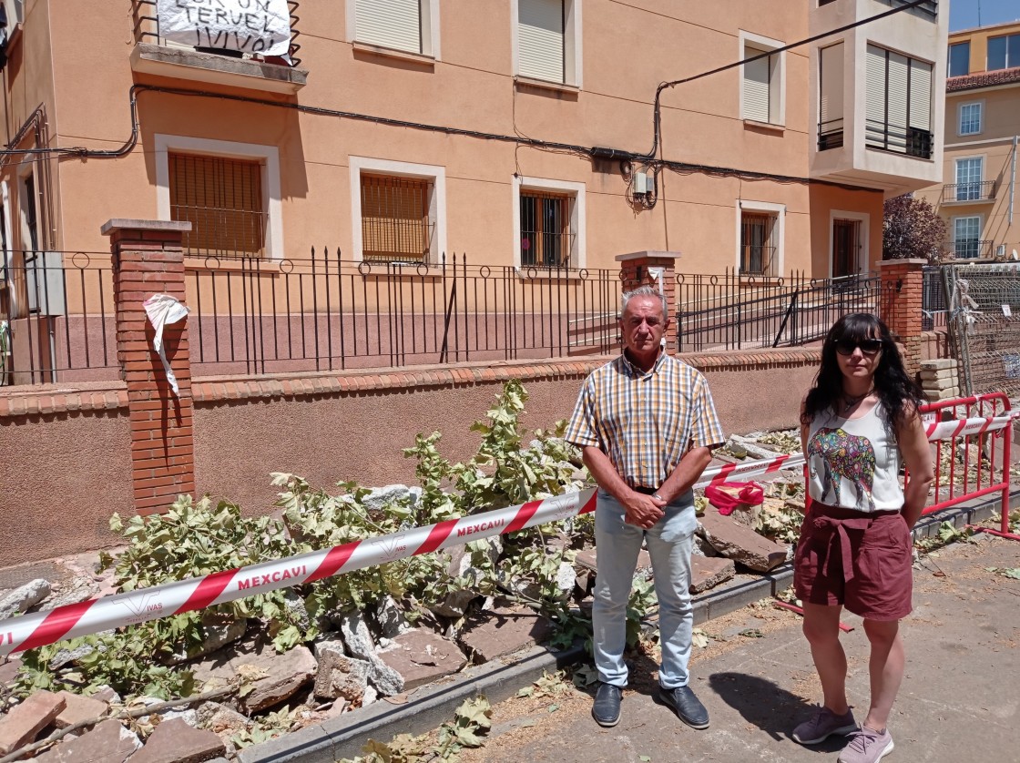 El grupo municipal del PSOE pide a la alcaldesa de Teruel que abandone su política de tala de árboles