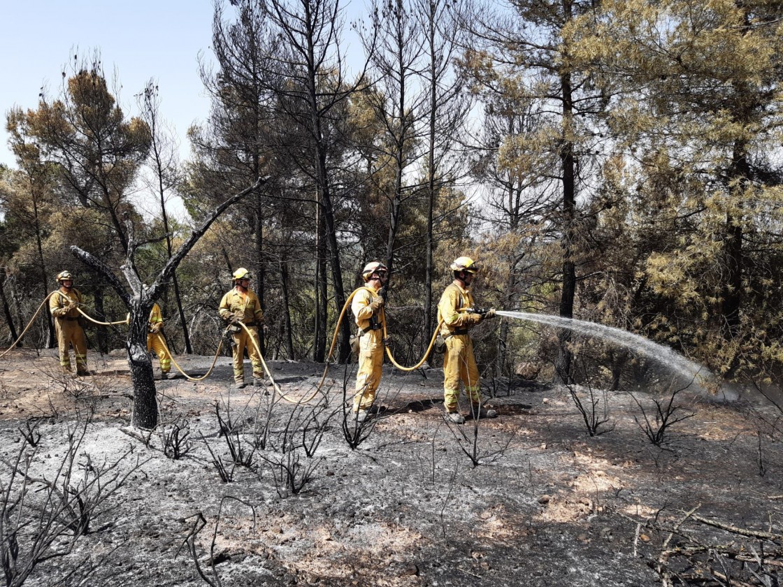 El Gobierno aprueba la declaración de zona catastrófica por incendios en 15  comunidades e incluye los fuegos de Valderrobres y Calamocha