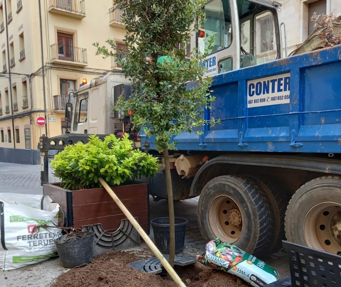 El Ayuntamiento de Teruel repondrá 45 árboles en la Operación Otoño