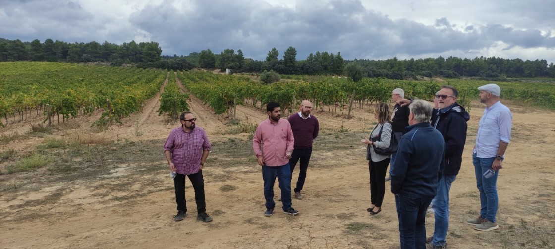 Los sabores de Teruel se dejarán sentir en el 