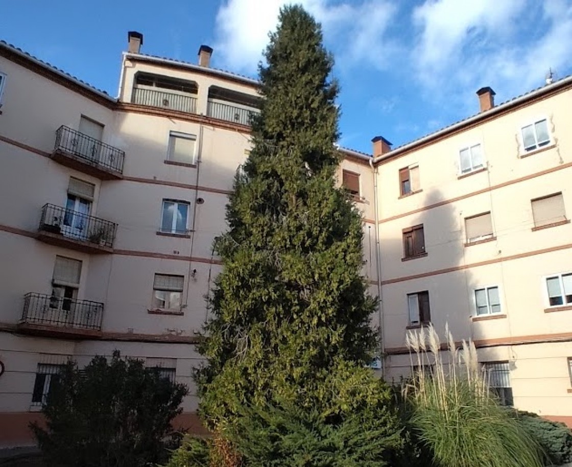 Una treintena de árboles de la ciudad de Teruel destacan por su singularidad