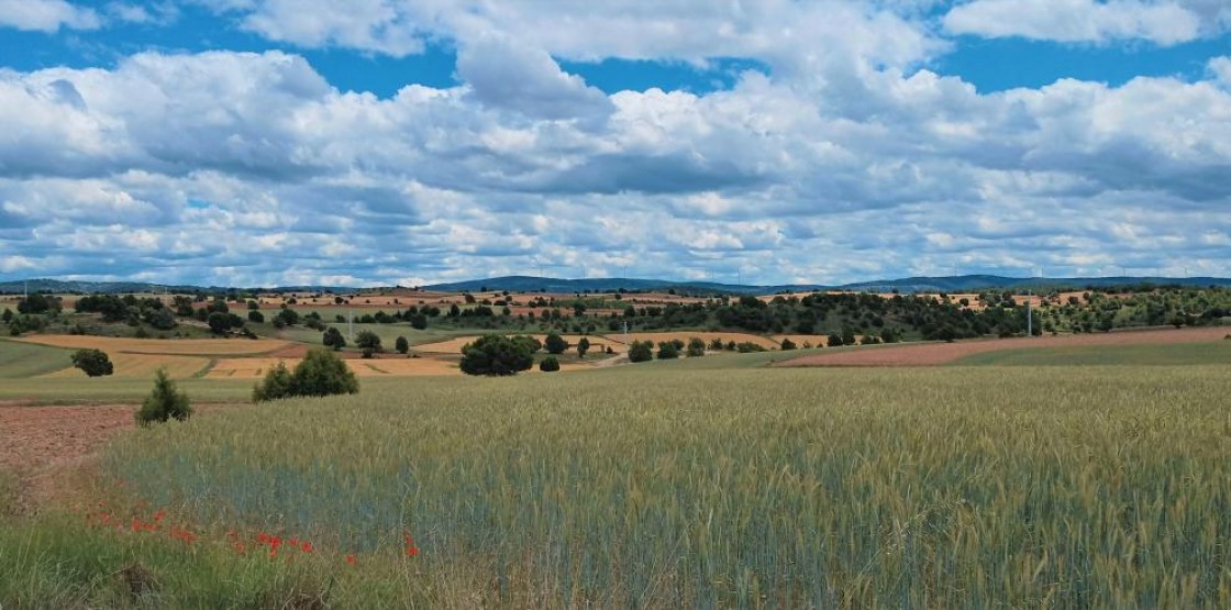 El Centro de Innovación en Bioeconomía Rural de Teruel organiza la jornada' Agroecología y Soberanía Alimentaria, el camino hacia la sostenibilidad' en Alcañiz