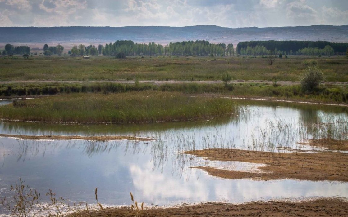 El Gobierno de Aragón invertirá más de 500.000 euros en la restauración y mejoras de hábitats de la Laguna del Cañizar